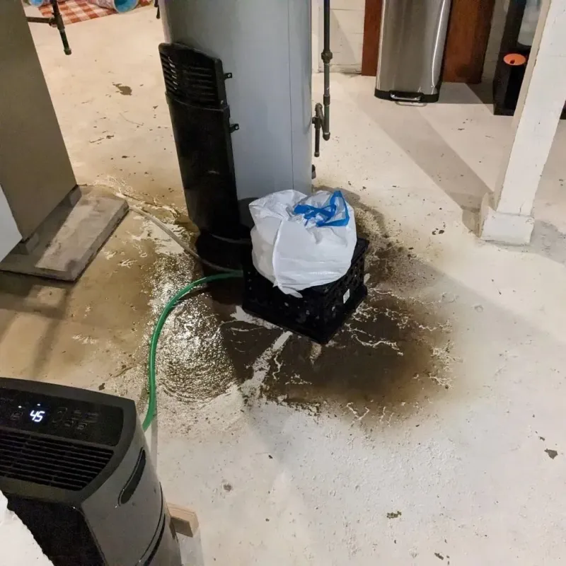Sewage Backup Cleanup Service in Pike County, MS